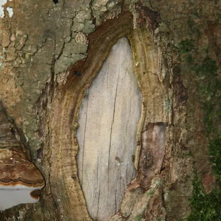 Appartement Le Du Breux Face Semois Au 2 Eme Etage