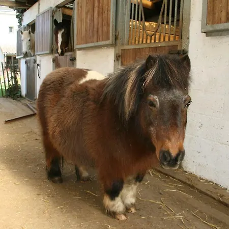 Le Du Breux Face Semois Au 2 Eme Etage *