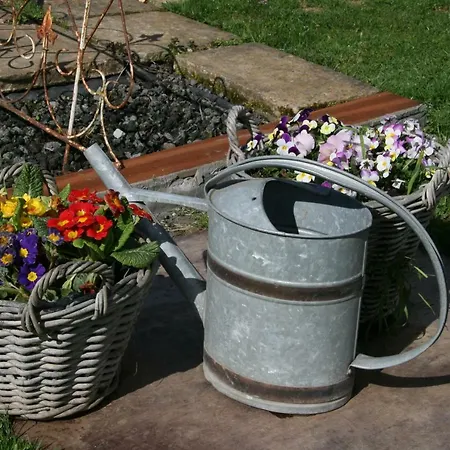 Appartamento Le Du Breux Face Semois Au 2 ème étage Chassepierre