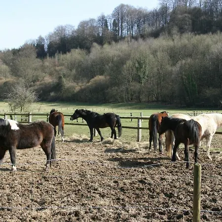 Appartamento Le Du Breux Face Semois Au 2 ème étage *