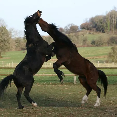 Le Du Breux Face Semois Au 2 Eme Etage