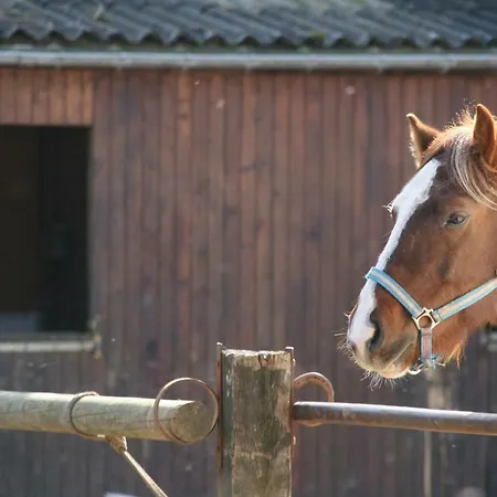 Le Du Breux Face Semois Au 2 Eme Etage *