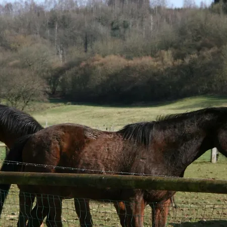 Le Du Breux Face Semois Au 2 ème étage Appartamento
