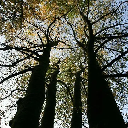 Le Du Breux Face Semois Au 2 Eme Etage Appartement *