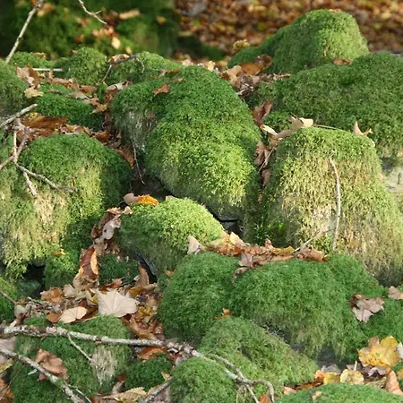 Le Du Breux Face Semois Au 2 ème étage