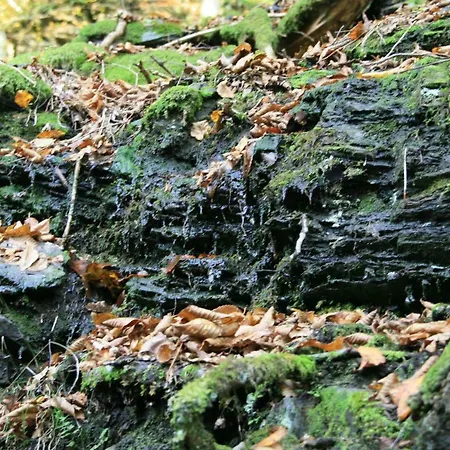 Le Du Breux Face Semois * Chassepierre