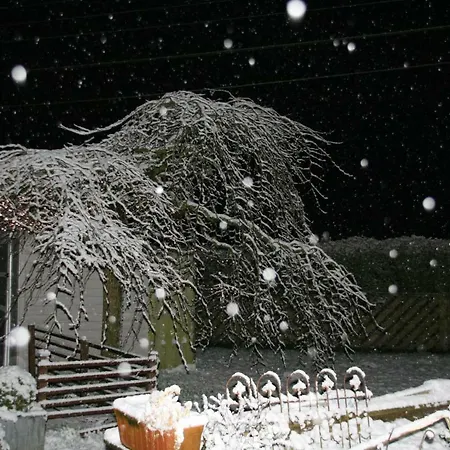 Le Du Breux Face Semois Au 2 Eme Etage * Chassepierre
