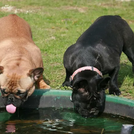 Le Du Breux Face Semois Au 2 ème étage