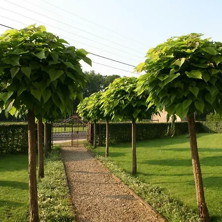Le Du Breux Face Semois Au 2 Eme Etage Chassepierre