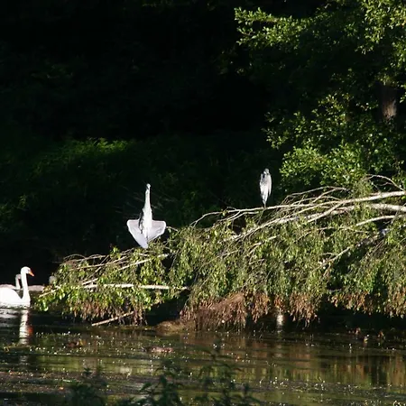 Le Du Breux Face Semois Au 2 Eme Etage *