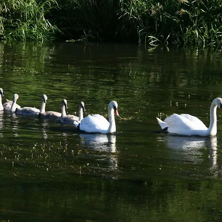 Le Du Breux Face Semois Au 2 ème étage