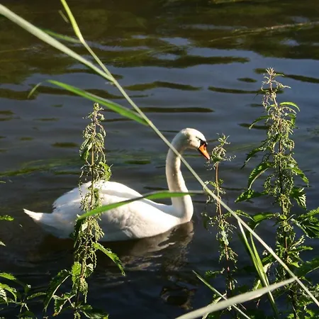 Appartement Le Du Breux Face Semois Au 2 Eme Etage