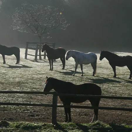 Le Du Breux Face Semois Au 2 Eme Etage Appartement *