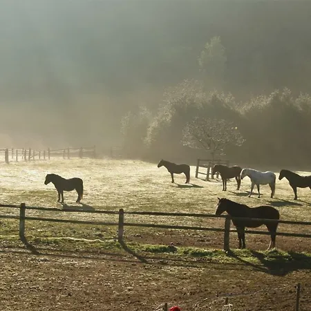 Appartement Le Du Breux Face Semois Au 2 Eme Etage *