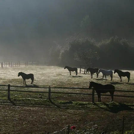 Le Du Breux Face Semois Au 2 Eme Etage