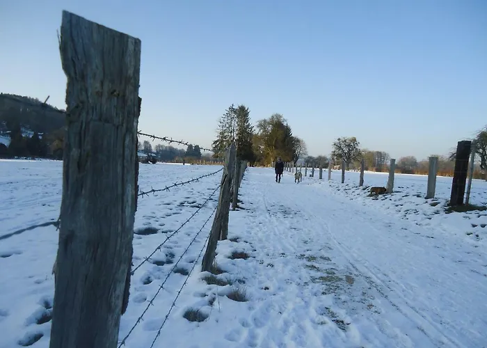 Le Du Breux Face Semois Au 2 ème étage Appartement Chassepierre