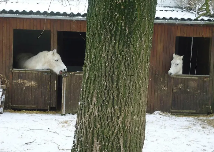 Le Du Breux Face Semois Au 2 ème étage Appartement *